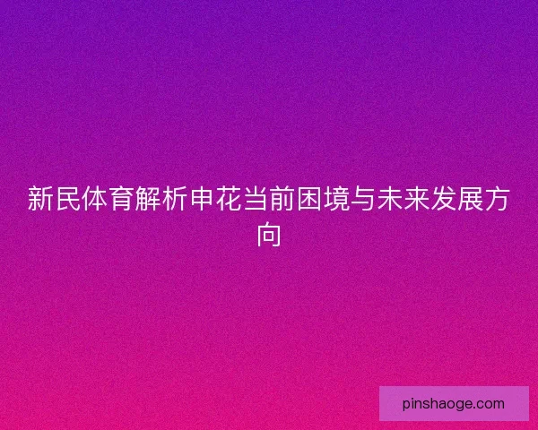 新民体育解析申花当前困境与未来发展方向
